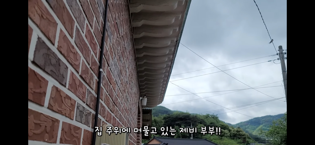 금은보화가 들어있는 박씨를 얼마나 받을지 궁금한 매탈남 | 인스티즈