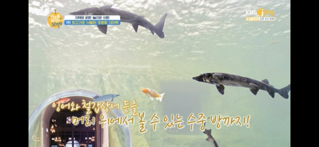 집 경매 사상 최고가에 낙찰된 집.jpg | 인스티즈