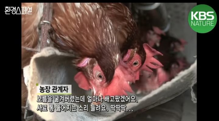 e6d120d81148e8cdddcd3796ca9718abba9c006f