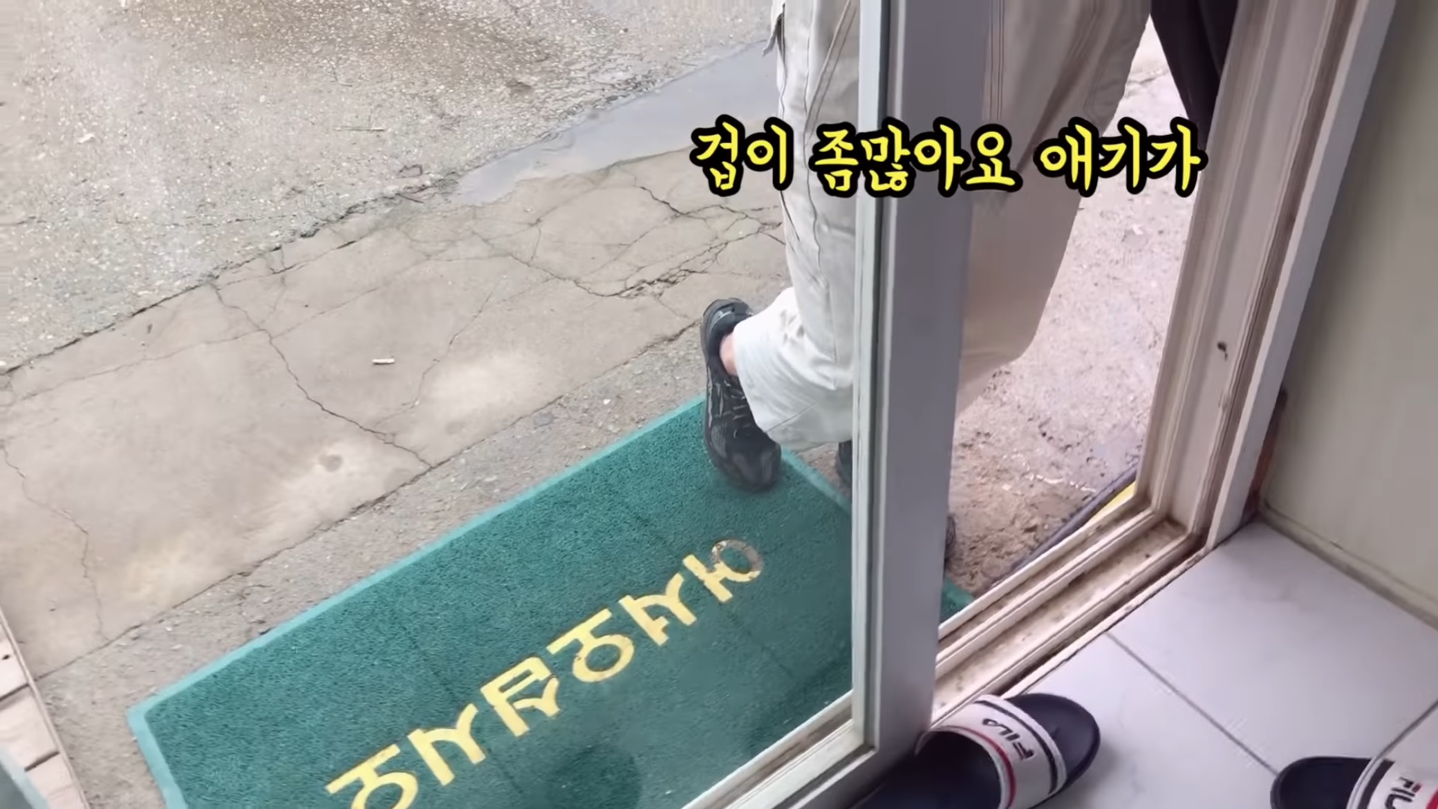 "공고번호 411번" 강아지가 입양되기 전 후 모습.jpgif | 인스티즈