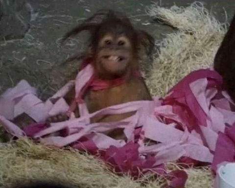 인스타 부계에 힘들때마다 올린짤 모음Zip | 인스티즈