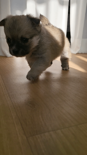 (공지라니... ++추가)새로생긴 회사 복지.. 미쳐서 도저히 일을 못하겠네.. (추가....)++추가 | 인스티즈