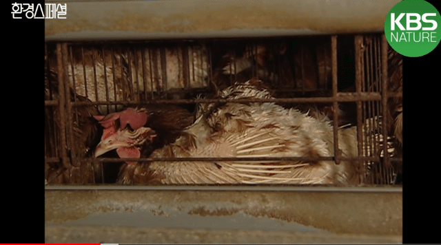 e7029f010351486e2cf68bd62ca4d1f44388237c