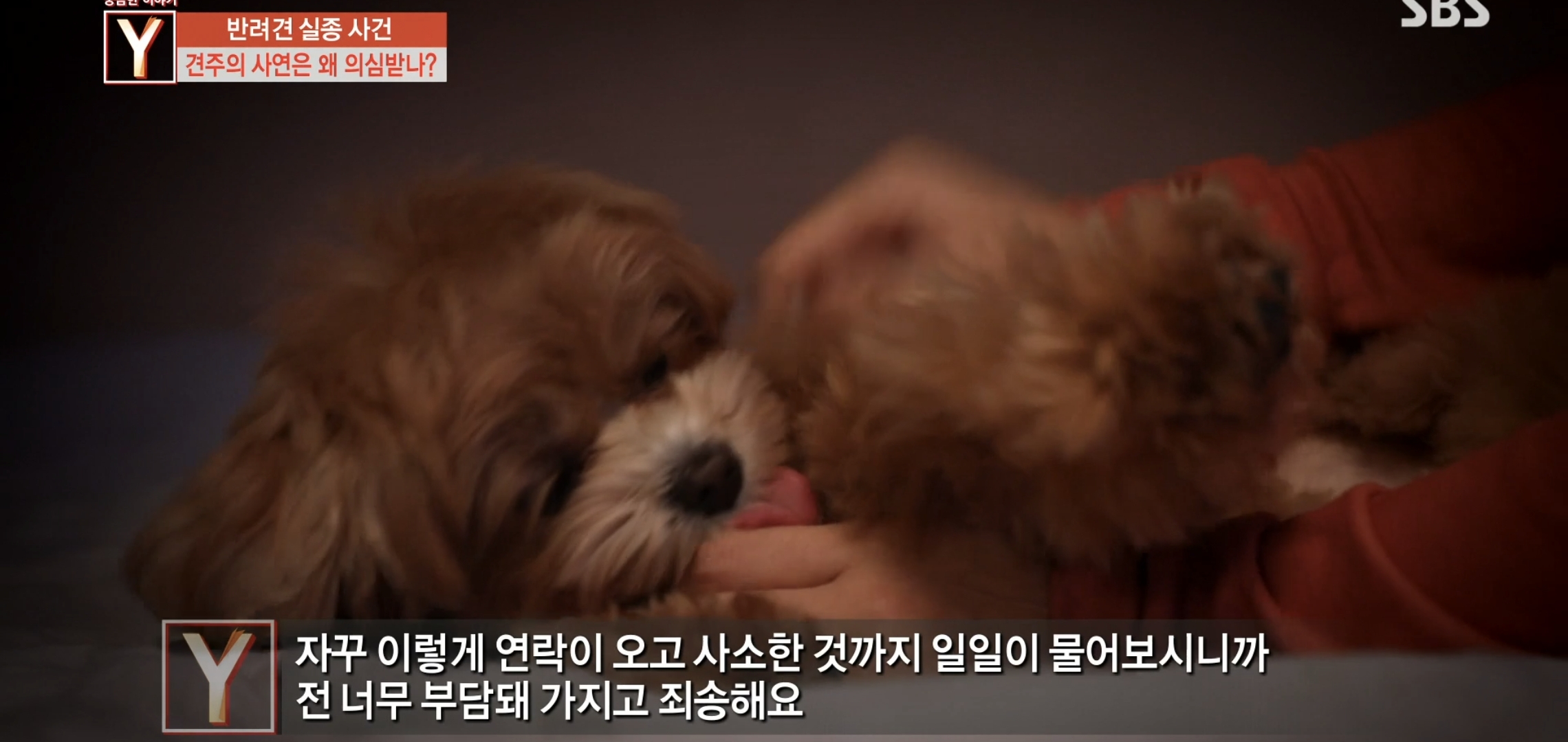 오늘 궁금한 이야기Y에 나온 검침원 강아지 유괴사건 어이없는 흐름과 결말.jpg | 인스티즈
