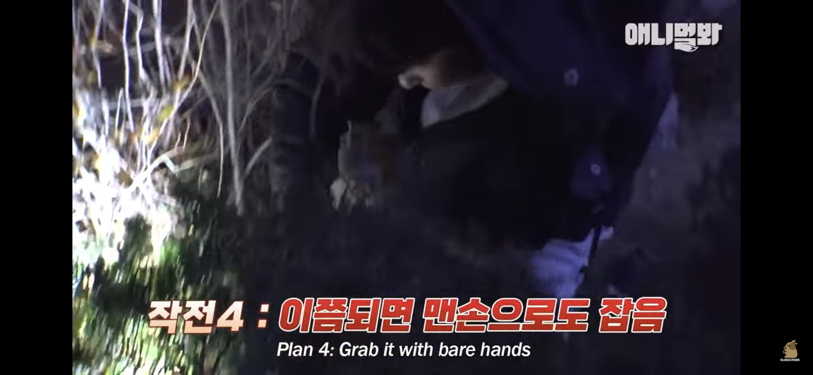 경기도 김포시 마송 휴먼시아 10단지 아파트내에 집단으로 유기된 노르웨이숲 고양이 | 인스티즈