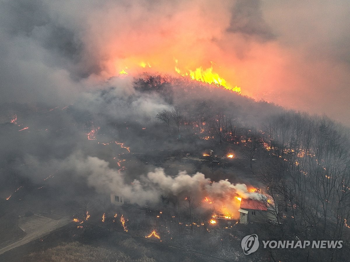 의성군 "경북산불 실화자 31일 소환조사"…산림보호법 위반 혐의 | 인스티즈
