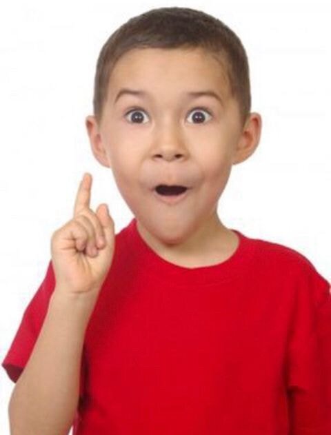 조선왕조 최초의 폭군과 고양이 그리고 | 인스티즈