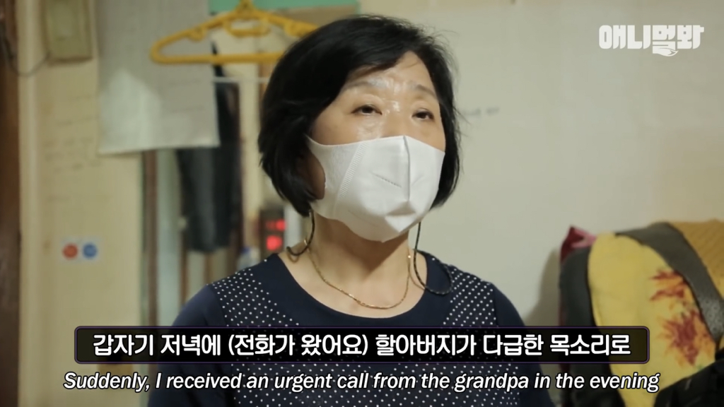 1년만에 자신을 두고 간 주인을 만난 강아지 반응 | 인스티즈