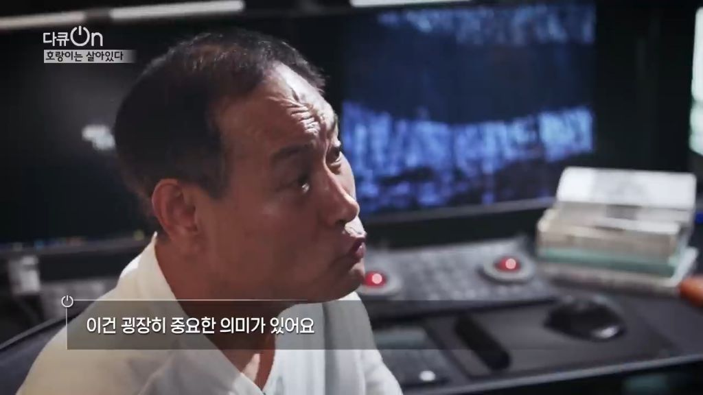 '절멸'의 '한국 호랑이'. 🐅 그 100년간의 이야기. -마지막- | 인스티즈