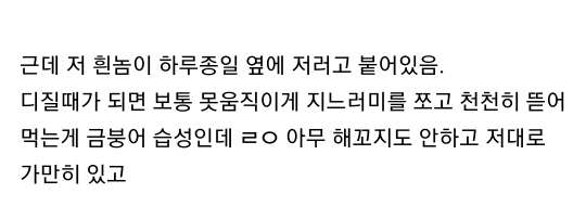 엄마집 금붕어들 보고가라 (이게 사랑이 아니면..) | 인스티즈