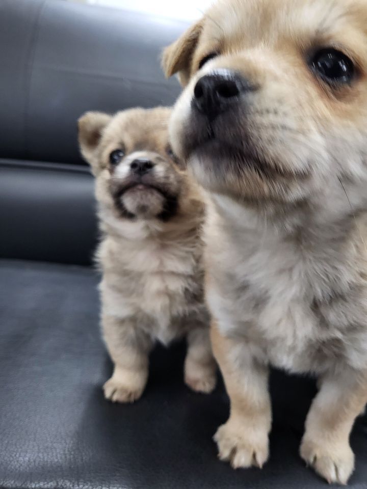(공지라니... ++추가)새로생긴 회사 복지.. 미쳐서 도저히 일을 못하겠네.. (추가....)++추가 | 인스티즈
