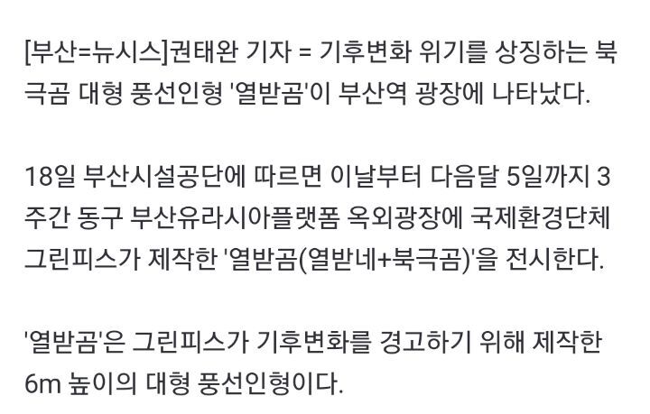 어제자 부산에 설치 된 북극곰 vs 스페인에 설치 된 소녀상 | 인스티즈