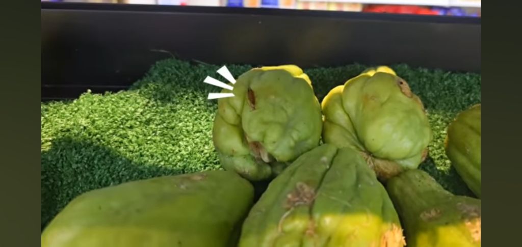 필리핀 마트 진열대에 우글우글한 바퀴벌레 (바퀴사진 있음) | 인스티즈