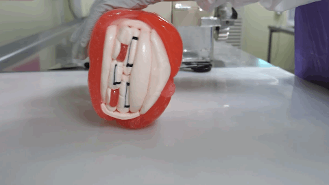 줘터진 어피치.jpg | 인스티즈