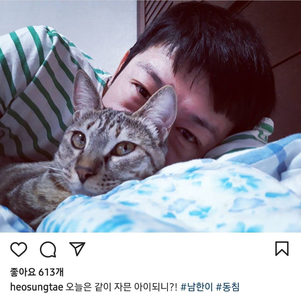 배우 허성태네 고양이들 | 인스티즈