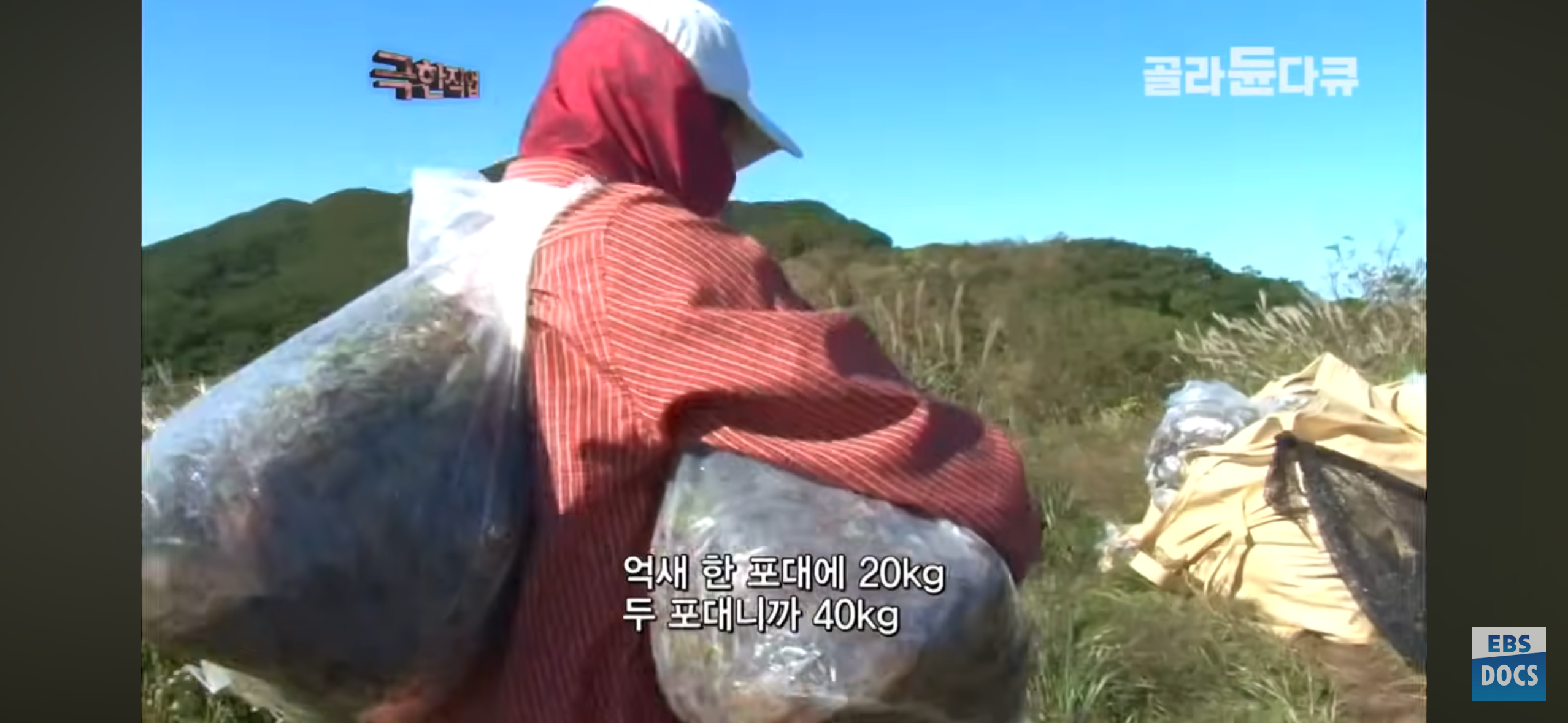 등산로, 어떻게 만들까?.jpg | 인스티즈