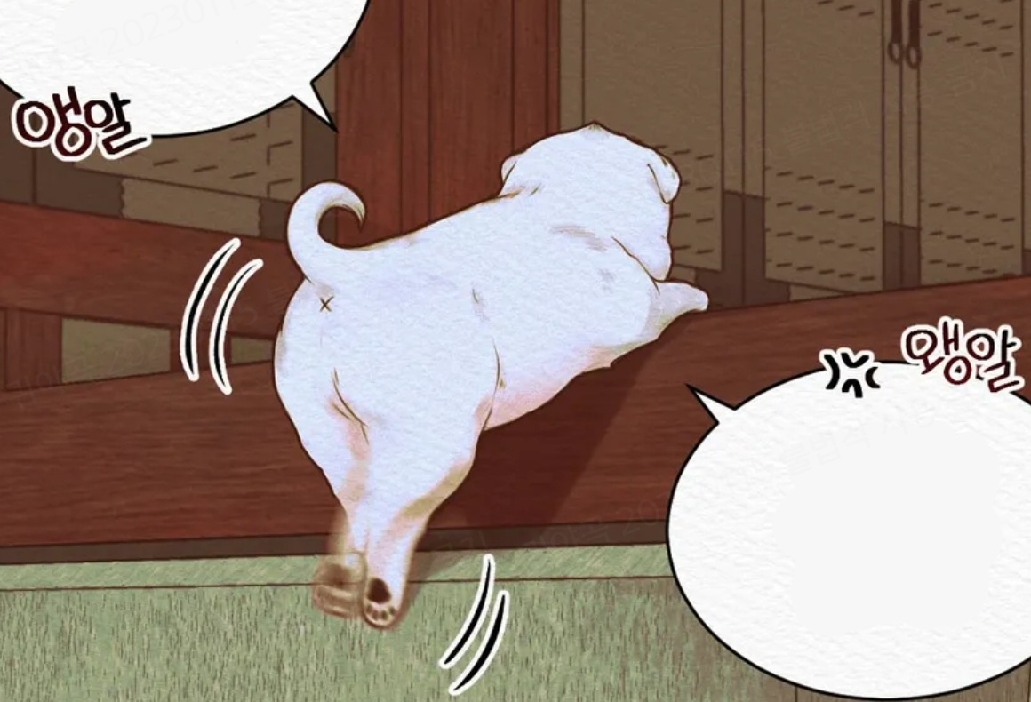 한복과 댕댕이에 진심인 거 같은 BL 웹툰 | 인스티즈