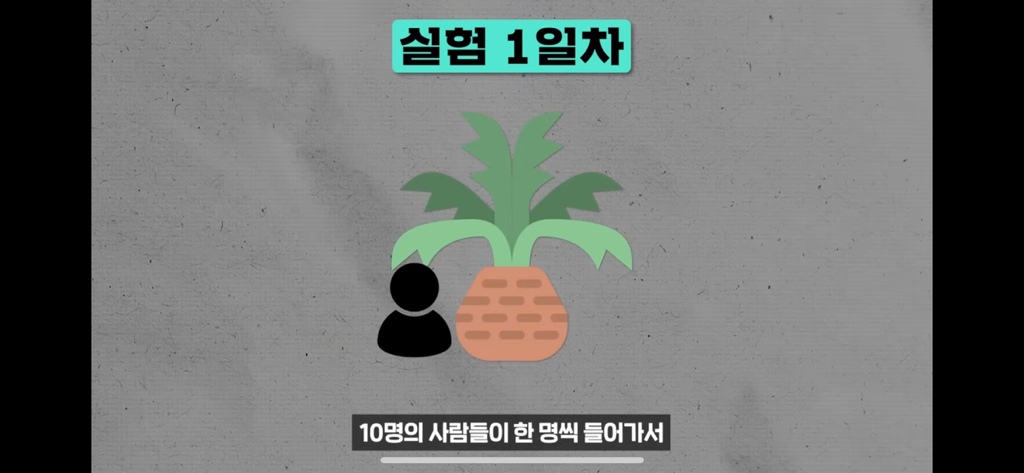 역대급 대충격이였던 식물실험 | 인스티즈