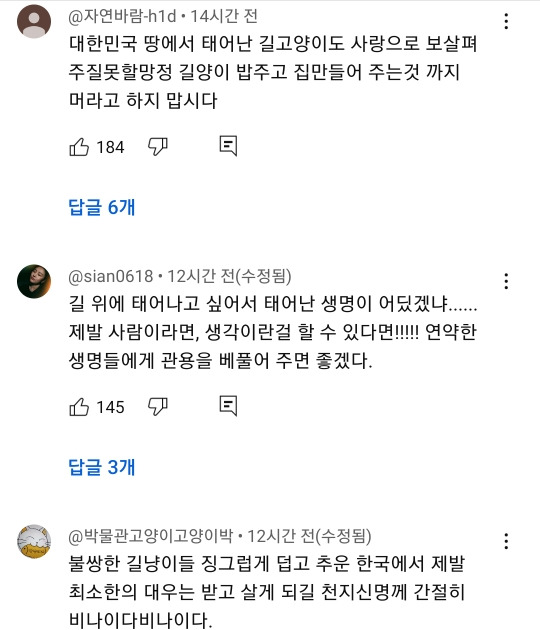 예전과 달라진 길고양이 급식소 겨울집 여론 | 인스티즈