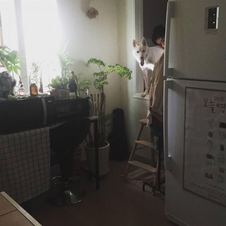 구교환네 강아지 | 인스티즈