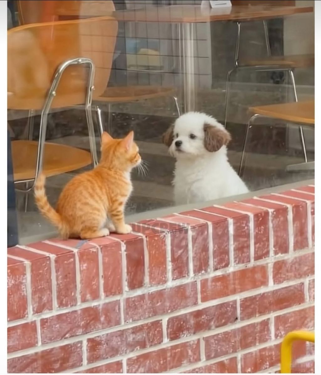 세상 무해한 투샷.jpg | 인스티즈