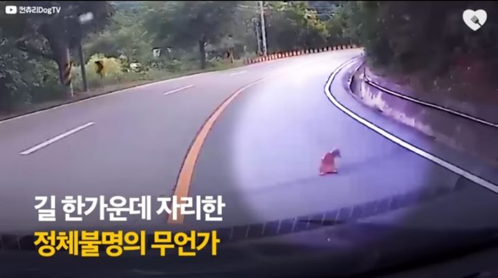 운전하다 댕줍하신 어느 운전자분 사연...ㅠㅠ | 인스티즈