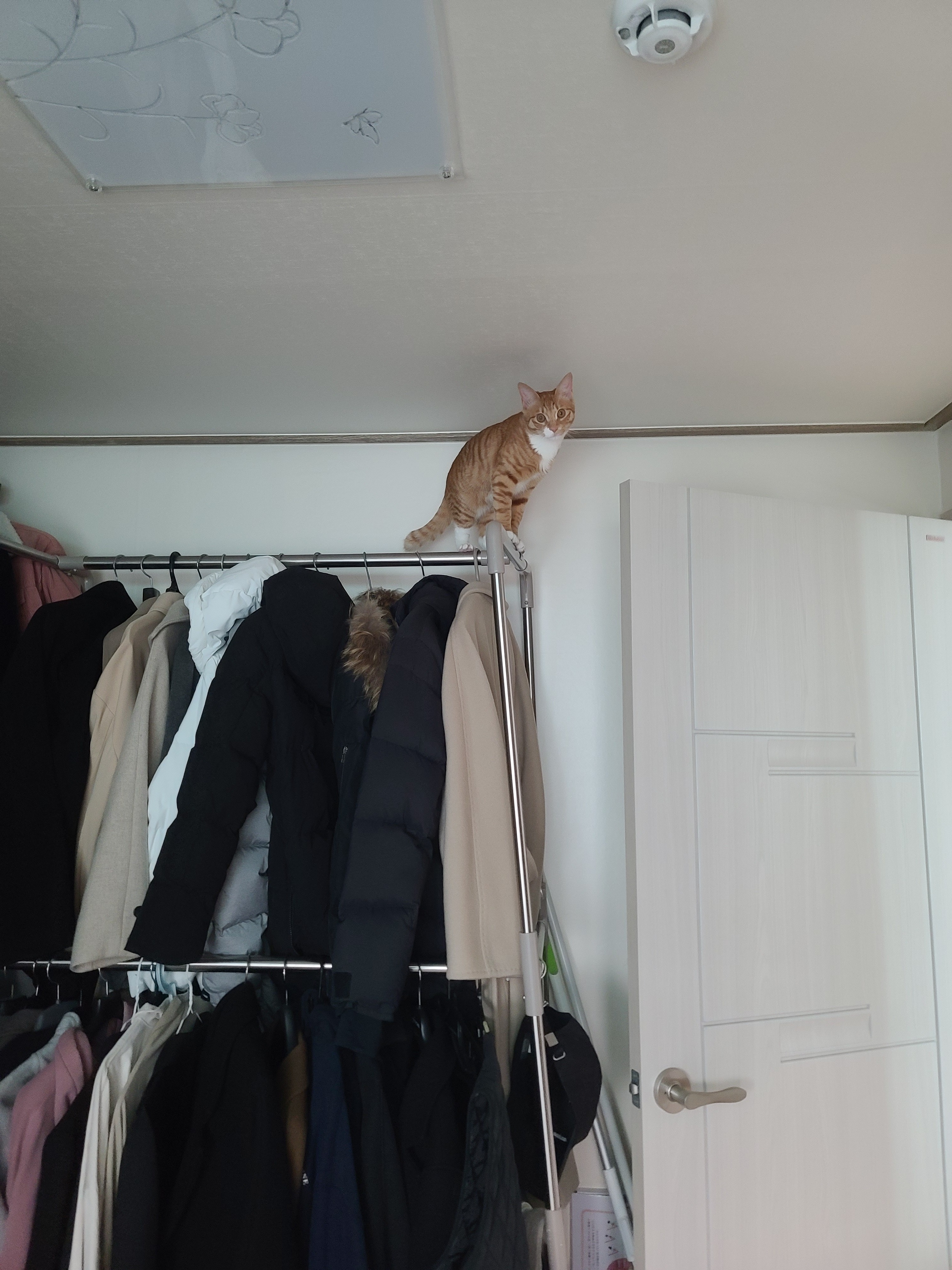 가... | 인스티즈