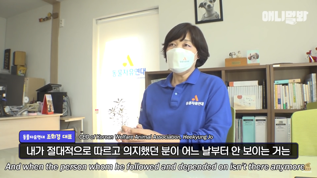 1년만에 자신을 두고 간 주인을 만난 강아지 반응 | 인스티즈