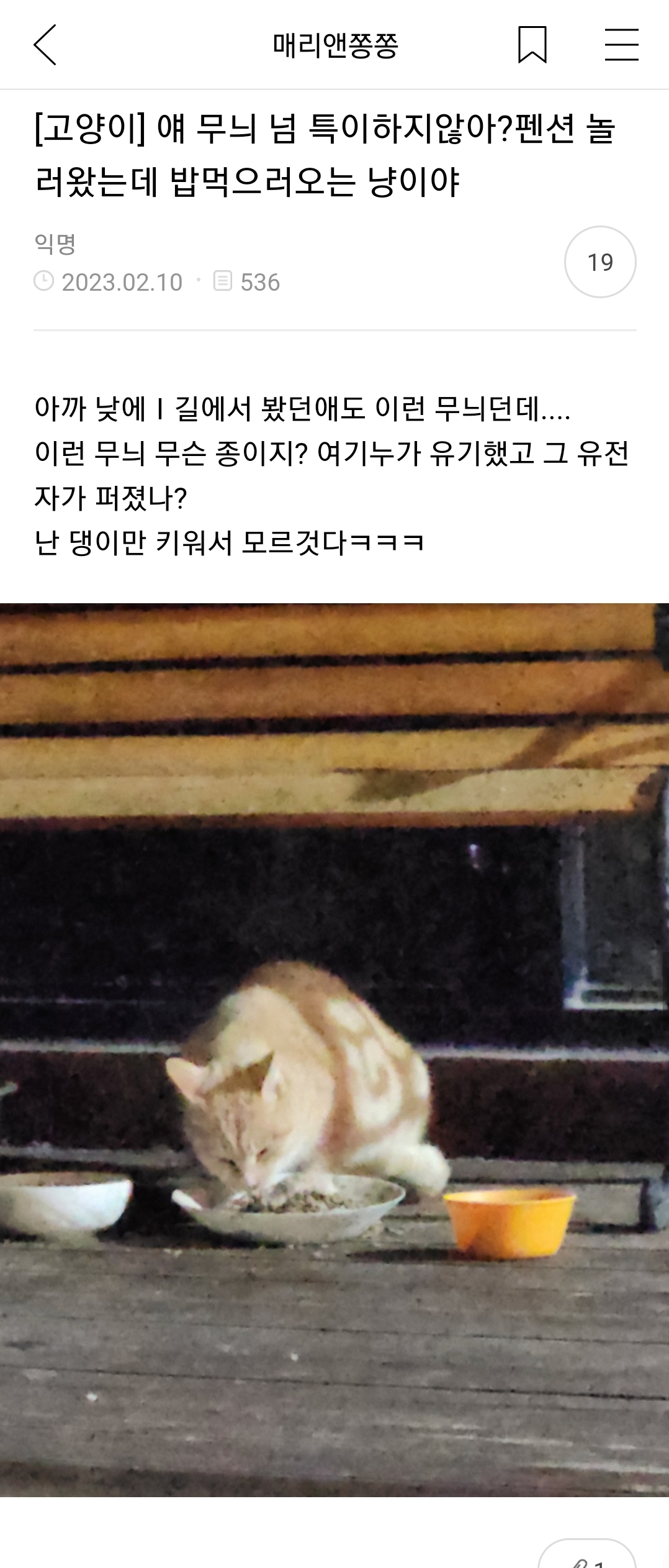 여시 캡쳐 몇개 | 인스티즈