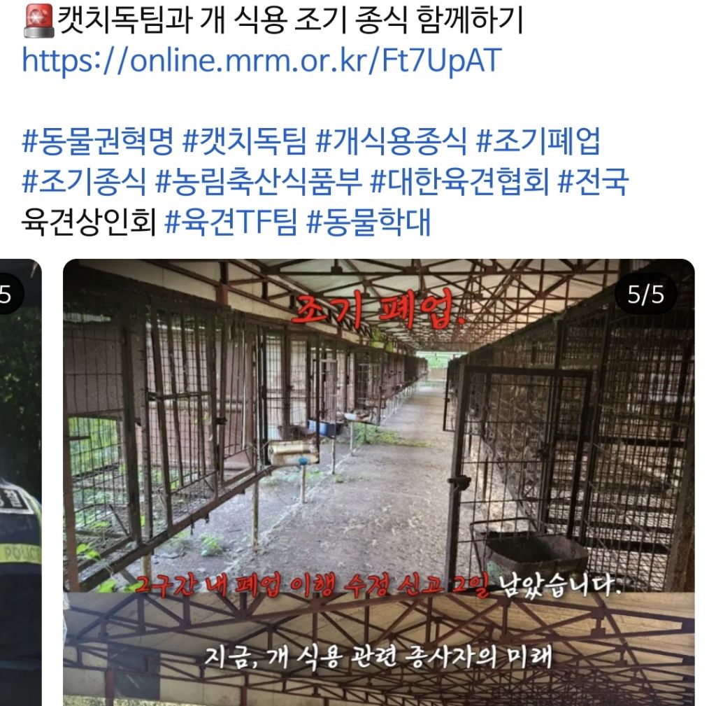 🚨8월6일 개식용 금지 폐업 이행 2구간 종료🚨 | 인스티즈