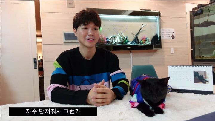 박수홍이 키우는 고양이 모질 | 인스티즈