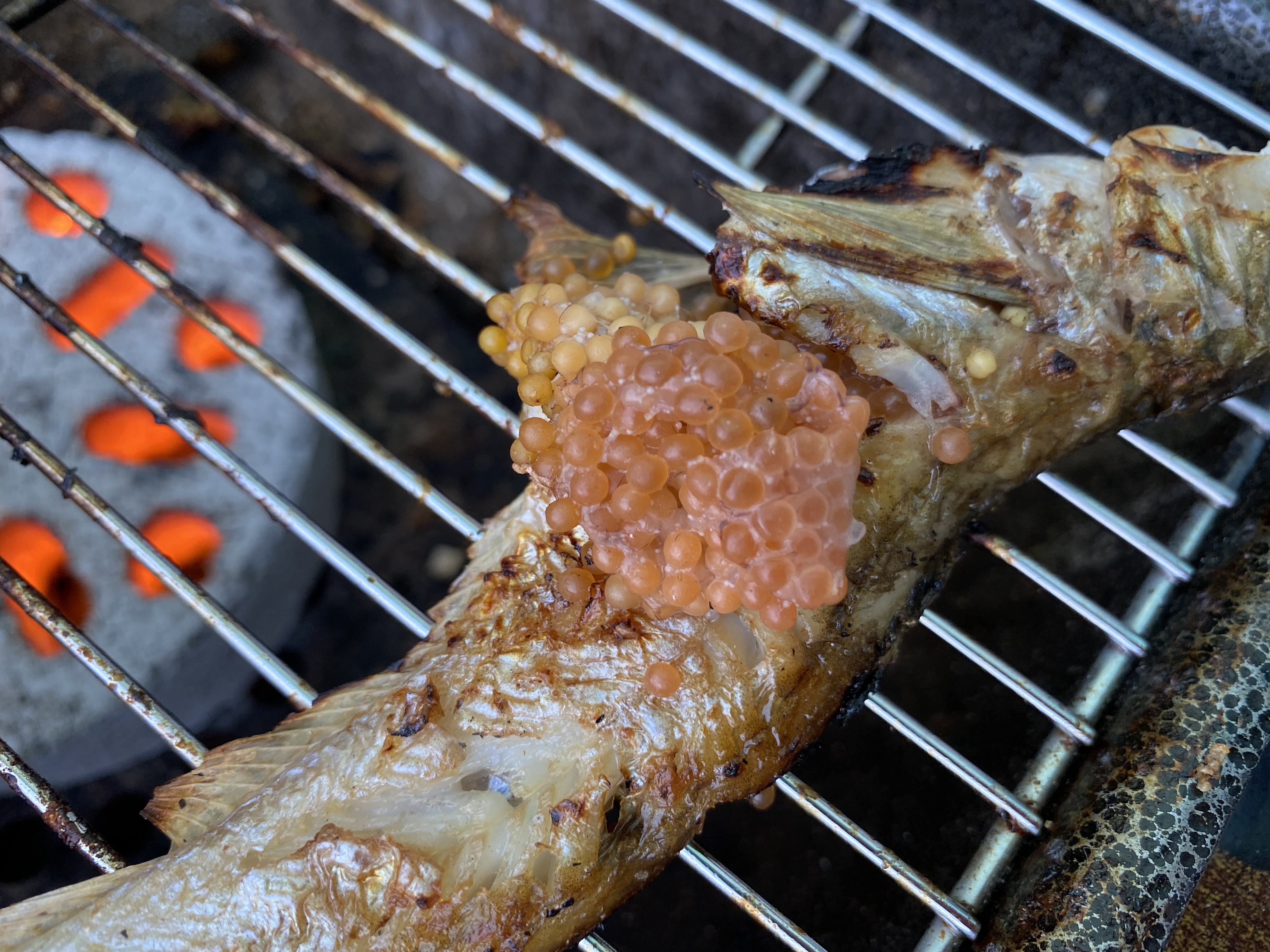 강원도 가서 먹기만 하는 강원도(속초) 쳐돌이가 먹는것들 🦑🦀🐟 | 인스티즈