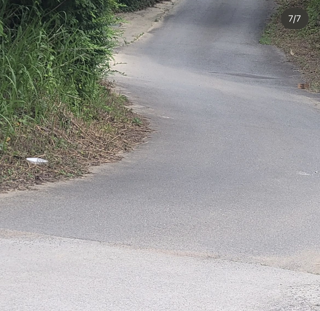 기적에 기적이 이어진 강아지 요미의 이야기 | 인스티즈