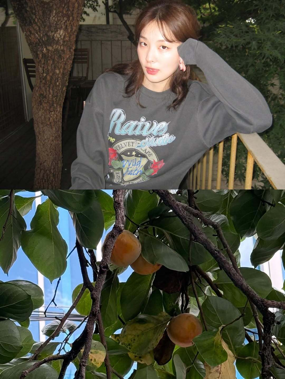 어제자 슬기 인스타그램 업데이트 | 인스티즈