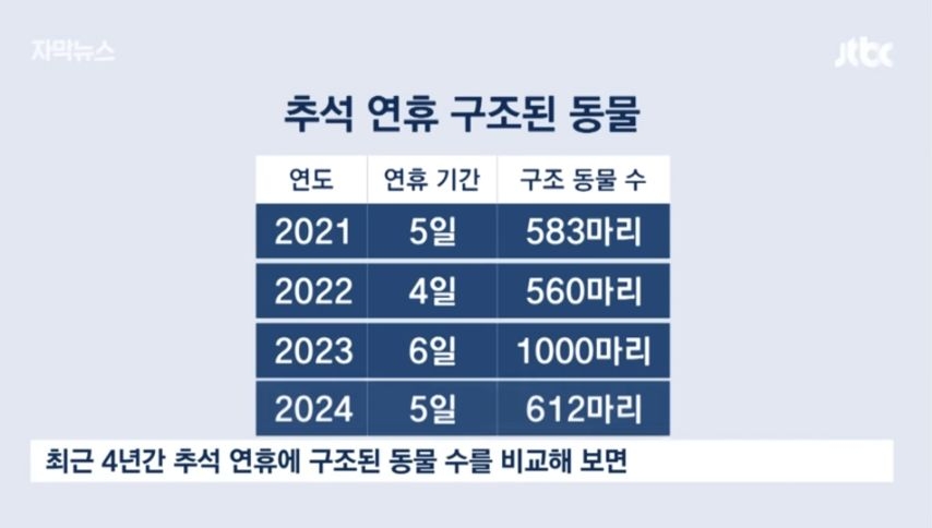 6일 동안 1000마리 버렸다... 연휴가 불러온 악순환 | 인스티즈