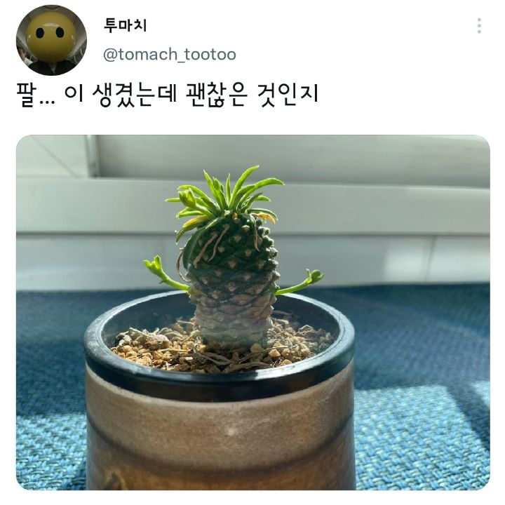 팔...이 생겼는데 괜찮은 것인지... | 인스티즈