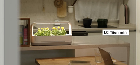 내가 사고 싶어서 찾아본 LG 틔운 미니 (가정 식물 재배기) | 인스티즈