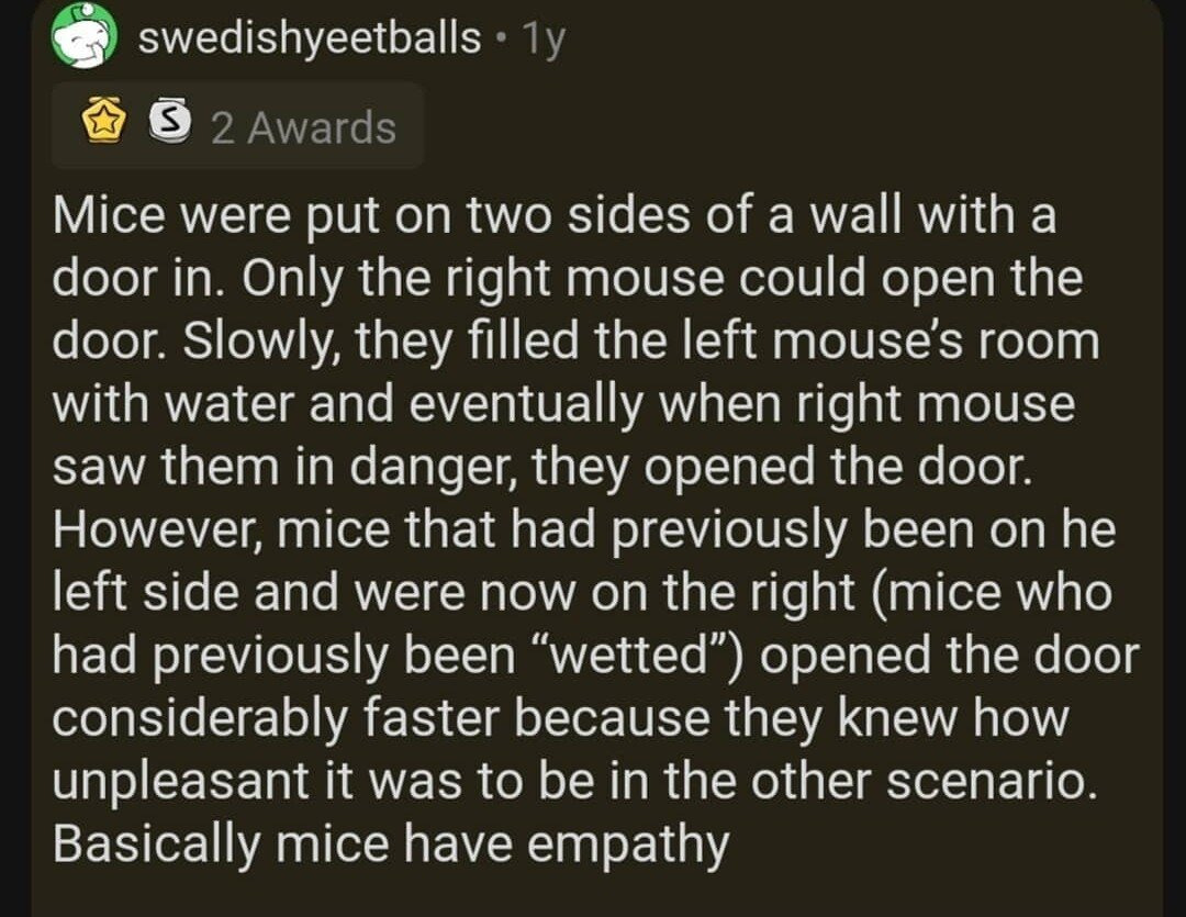 레딧) 흥미로운 결과가 나온 심리학 실험들 | 인스티즈