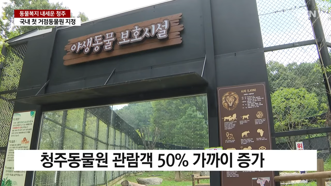 동물복지 내세우면서 관람객이 50% 증가한 청주 동물원 | 인스티즈
