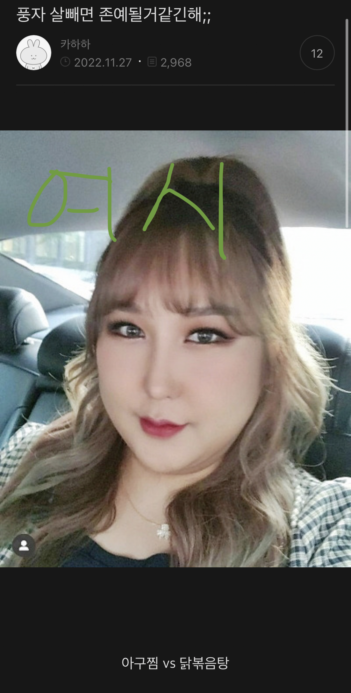 앙큼한 여시 사진