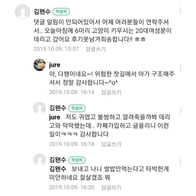 길가다 제 차로 죽일 뻔한 고양이를 데려왔는데요 ; | 인스티즈