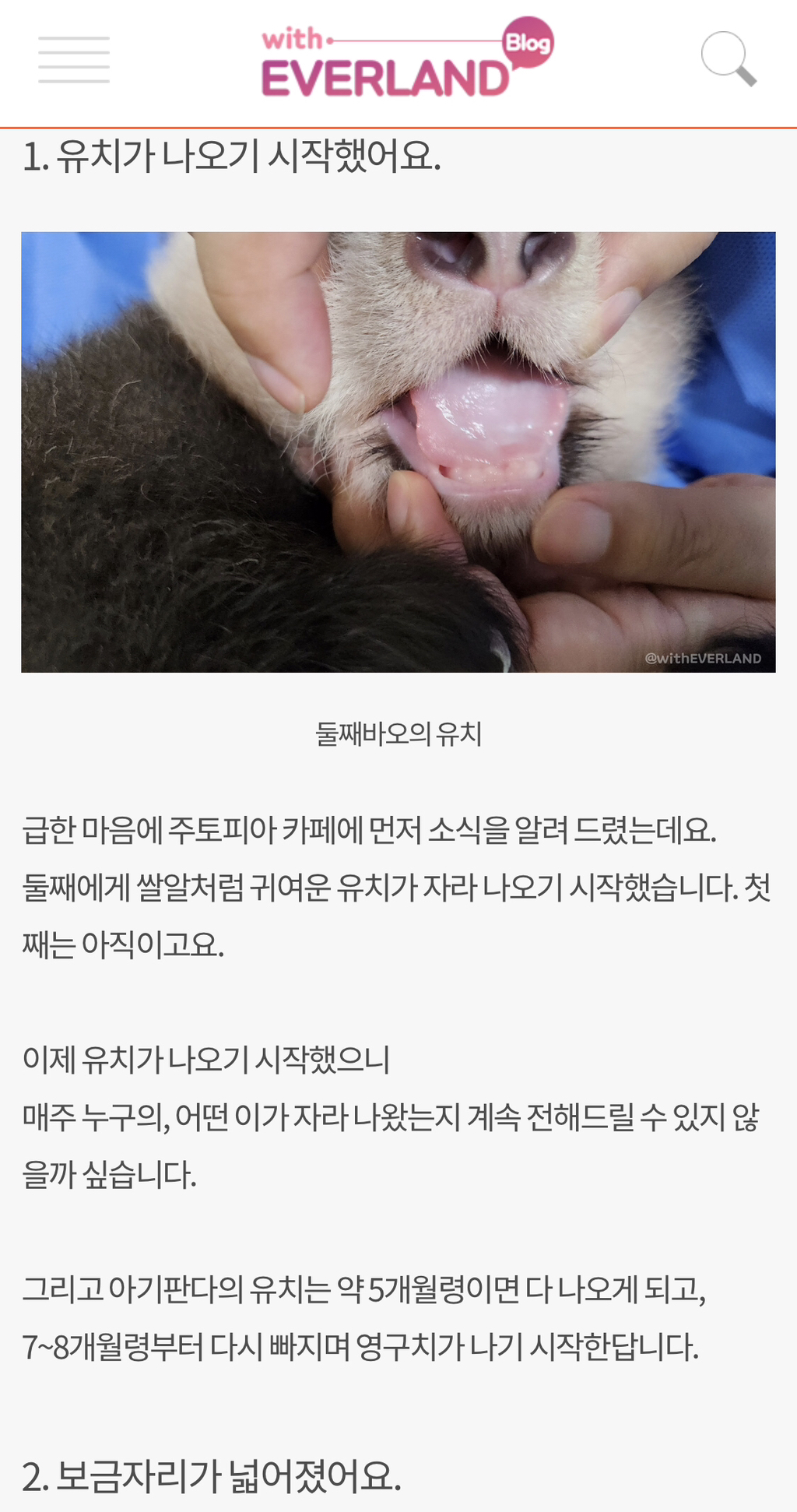 돼지만판다 이미지