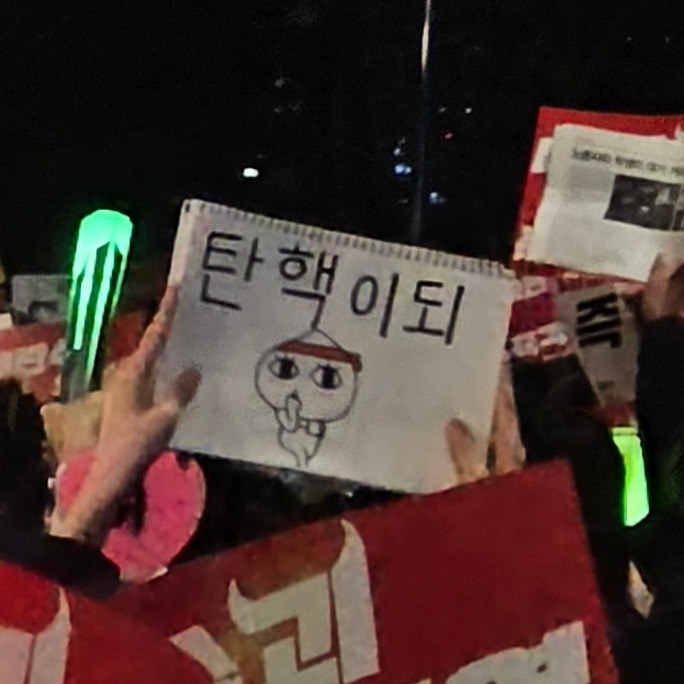 걍 2024년 밈 결산 그 자체인 탄핵 시위 피켓들 상태.twt | 인스티즈