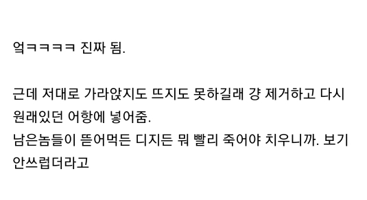 엄마집 금붕어들 보고가라 (이게 사랑이 아니면..) | 인스티즈