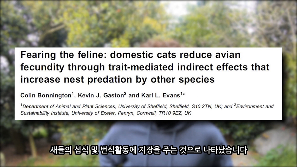 고양이가 자연생태계에 끼치는 심각한 영향(새 사체사진있음) | 인스티즈