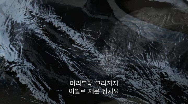 어느날 소방서에 고래가 조련사를 잡아 먹었다는 신고가 들어왔다 .jpg (스압주의) | 인스티즈