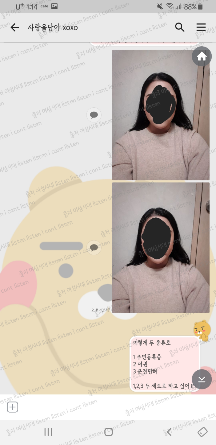 Daum 카페