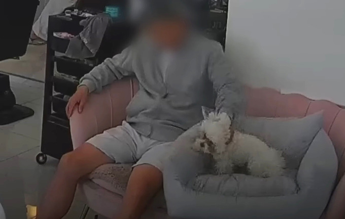 법원, 생후 6개월 반려견 목 누른 동물학대 혐의 벌금 100만원 | 인스티즈