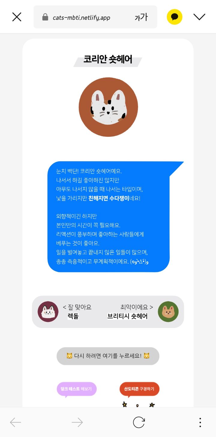고양이로 태어난다면 mbti (+고양이mbti 추가) | 인스티즈
