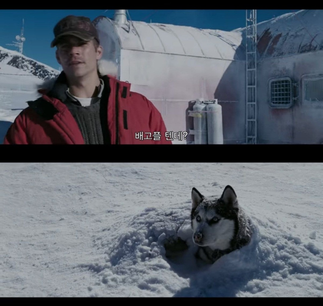 같이 남극 탐험하는 사람이 금방 돌아 온댔는데 폭풍으로 못온대 | 인스티즈